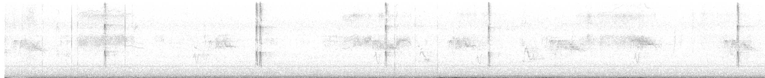 Nuttall's Woodpecker - ML646654337