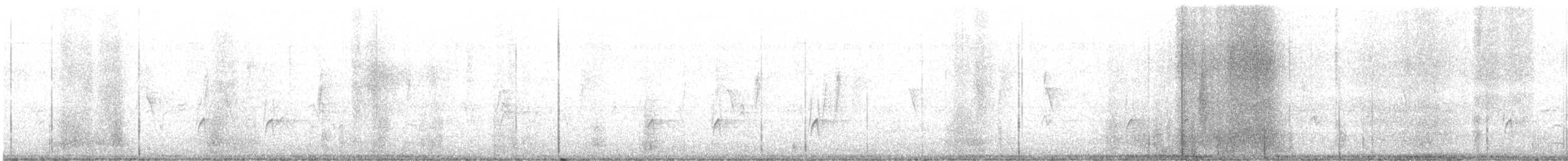 Піві великий - ML646654363