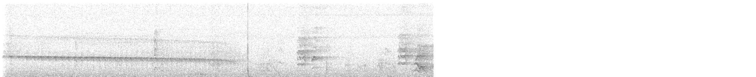 White-browed Antbird - ML646654435