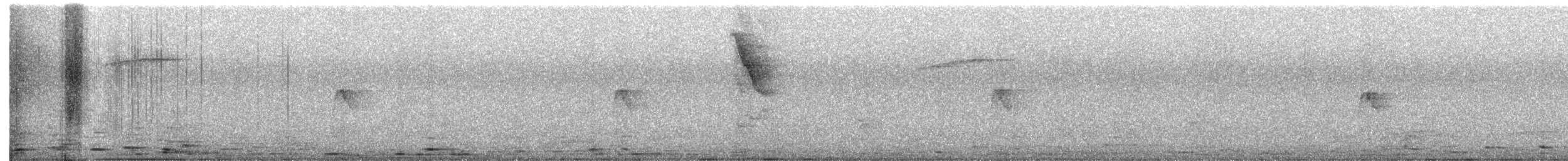 Yellow-bellied Flycatcher - ML646654454