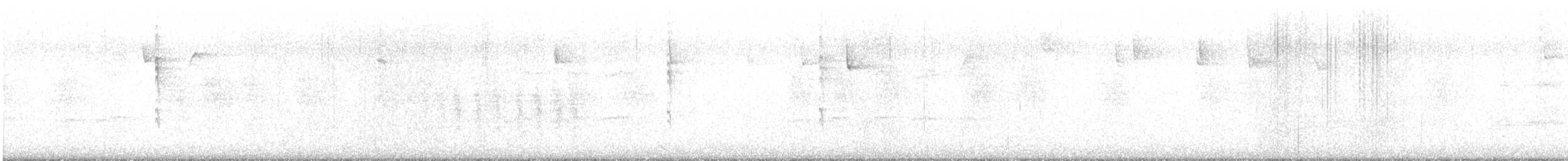 Wilson's Warbler - ML646654645