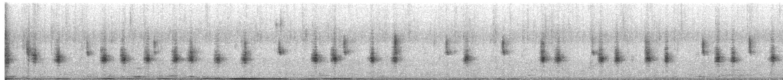 Southern House Wren - ML646654791