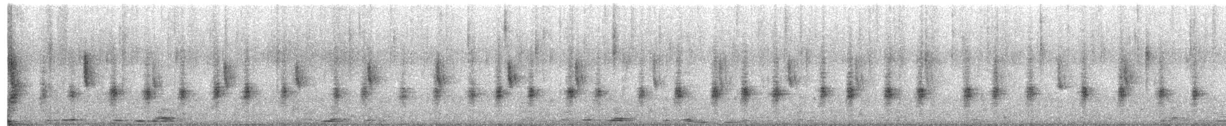 Southern House Wren - ML646654792