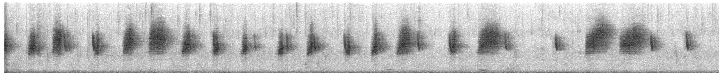 Southern House Wren - ML646654793