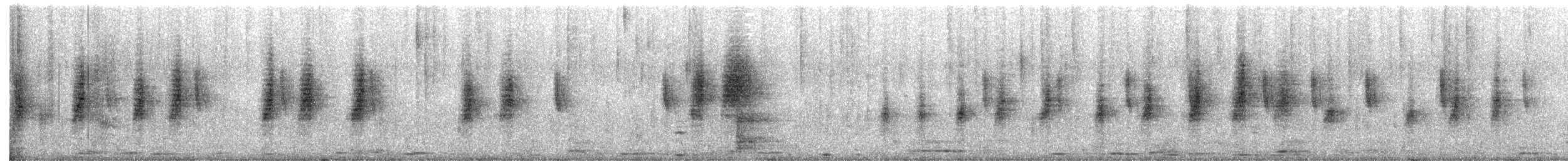 Southern House Wren - ML646654794