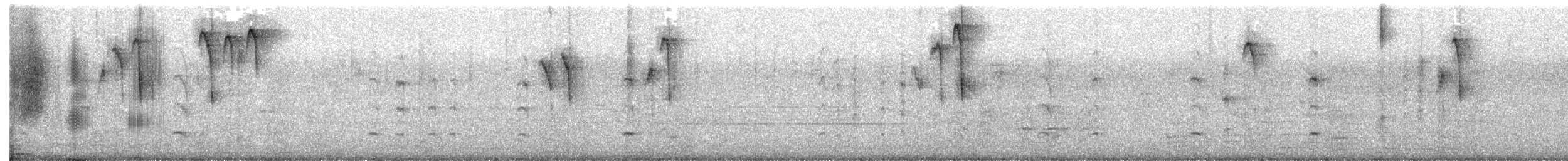 Southern House Wren - ML646654795