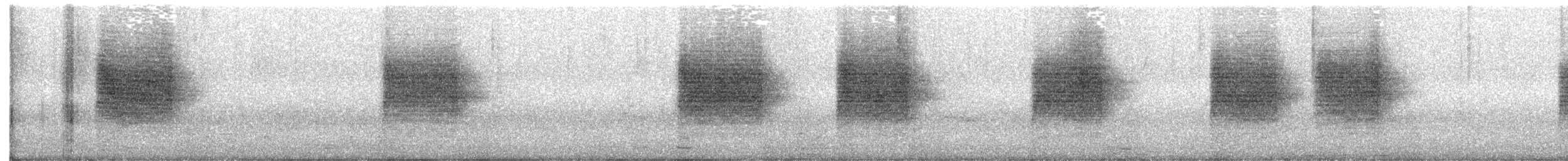 Southern House Wren - ML646654796