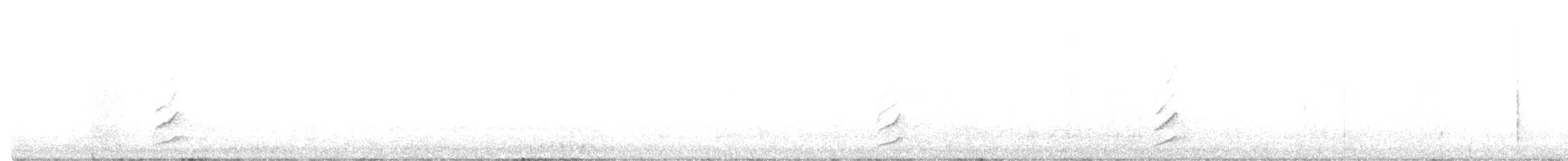 Phainopepla - ML646654814