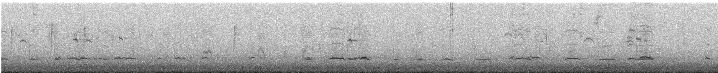 Green-winged Teal - ML646655444