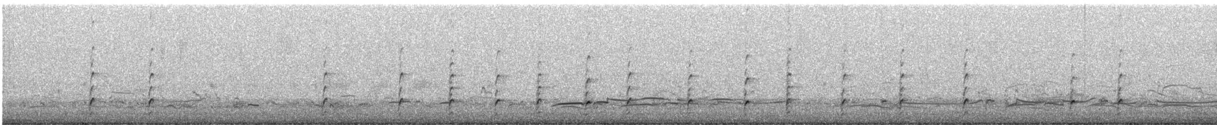 Black-necked Stilt - ML646655445