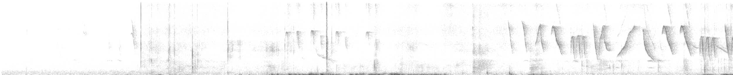 Ringed Warbling Finch - ML646655755