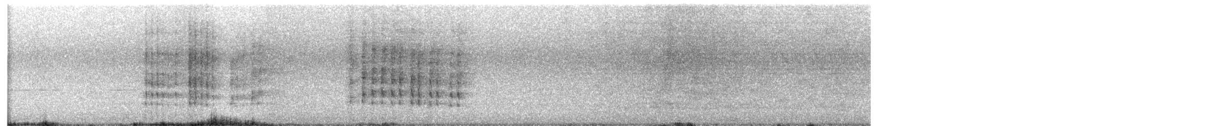 Hoffmann's Woodpecker - ML646656150