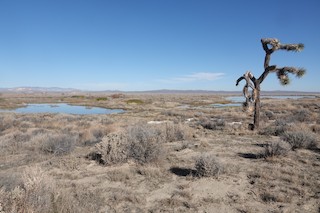 Piute Ponds (permit required), Los Angeles, California, United States ...