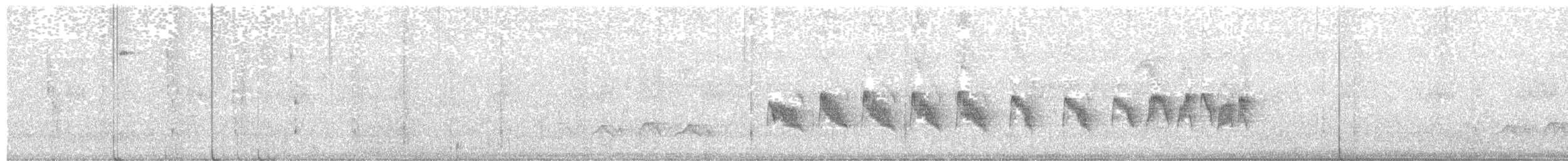 Fournier roux - ML646656755