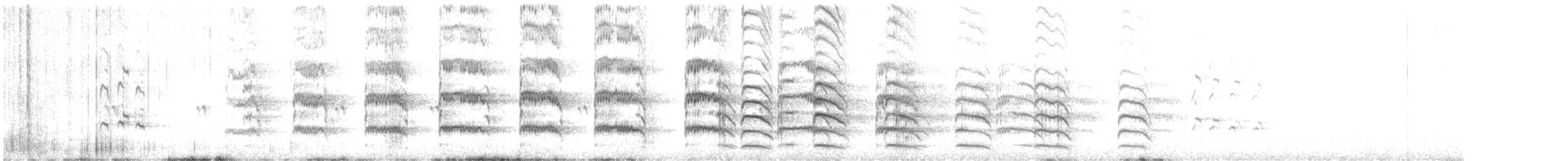 Grand Chevalier - ML646656880