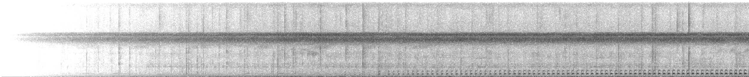 Petit-duc guatémaltèque - ML646657086