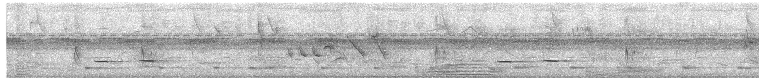 Géocoucou tacheté - ML646657601