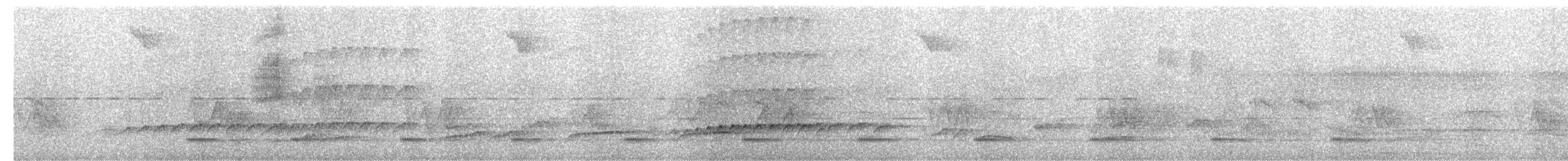 Attila à tête grise - ML646657744