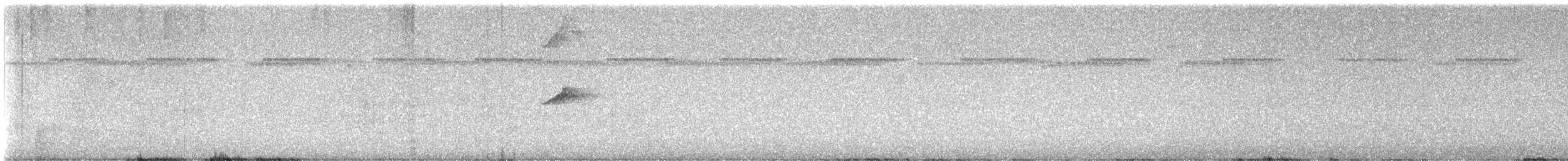 Engoulevent coré - ML646657871