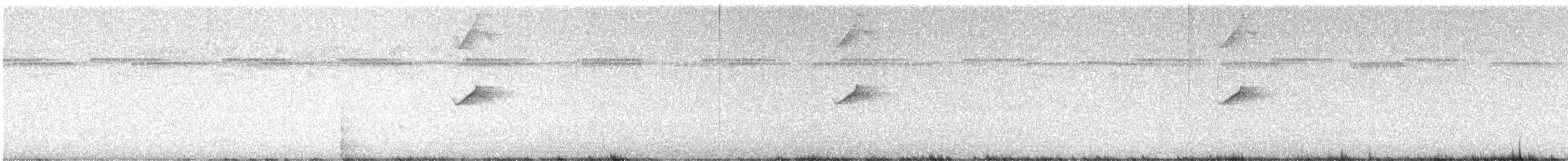 Engoulevent coré - ML646657872