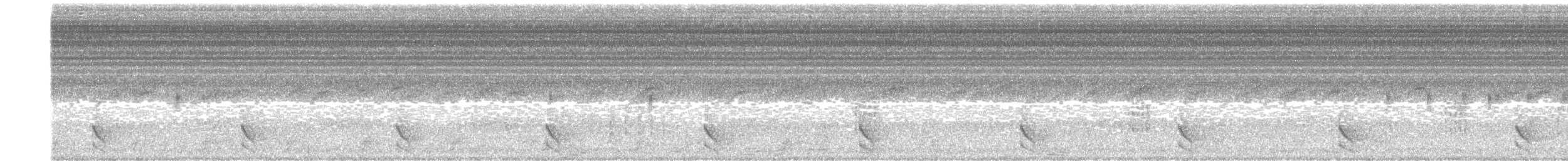 Carnifex barré - ML646658064