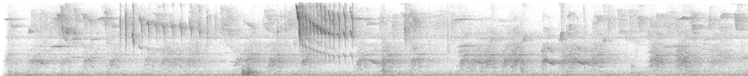 Amazone aourou - ML646658083