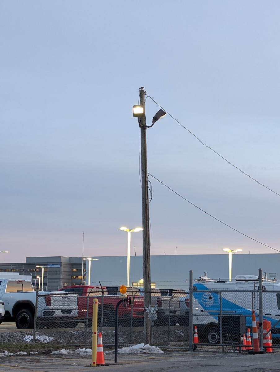 Merlin - ML646658103