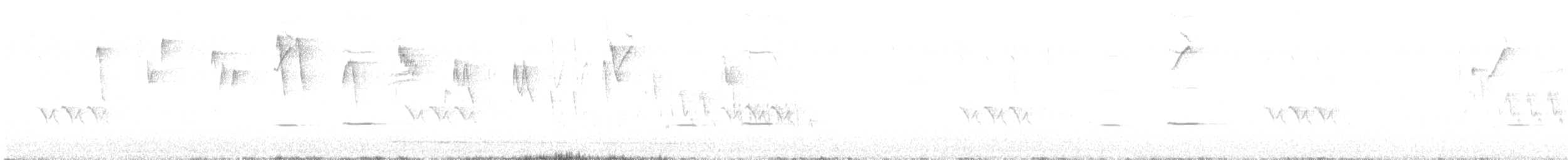 Géocoucou tacheté - ML646658166