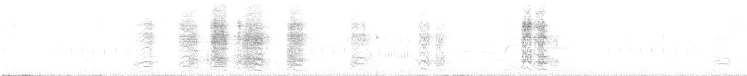 Conure à tête bleue - ML646658197