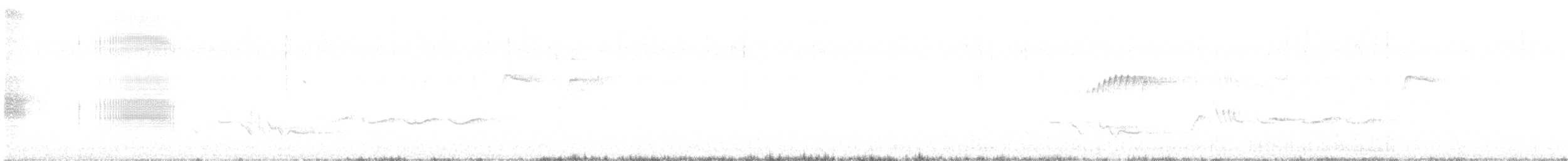 Rara du Paraguay - ML646658236