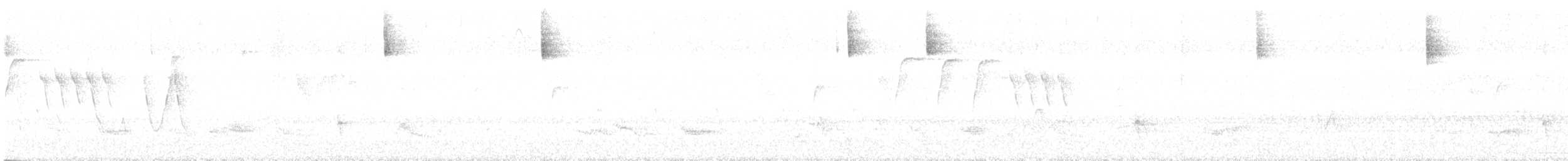 Élénie à bec court - ML646658258