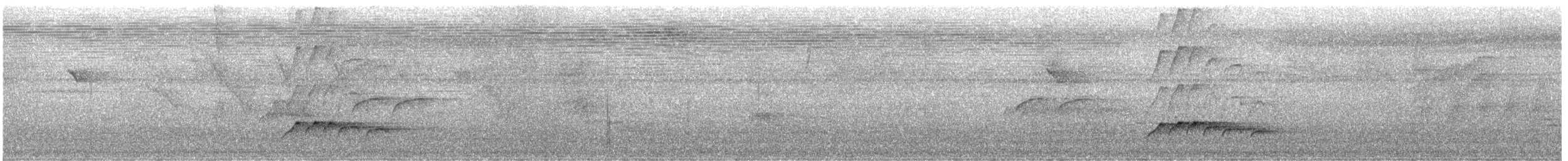 Attila à croupion jaune - ML646658272