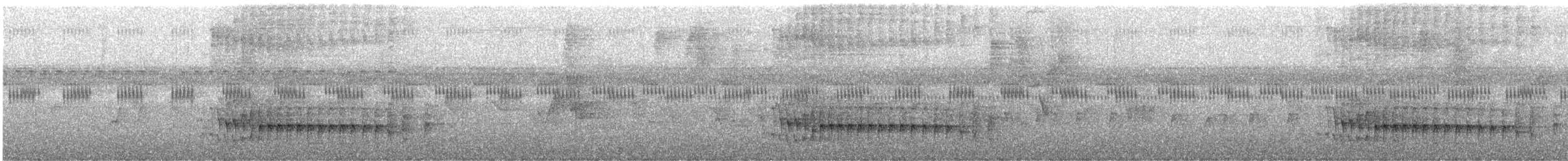 Anabate de Sclater - ML646658275