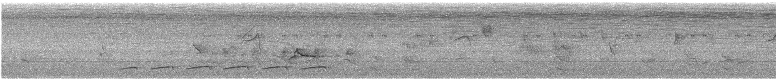 Batara fascié - ML646658288