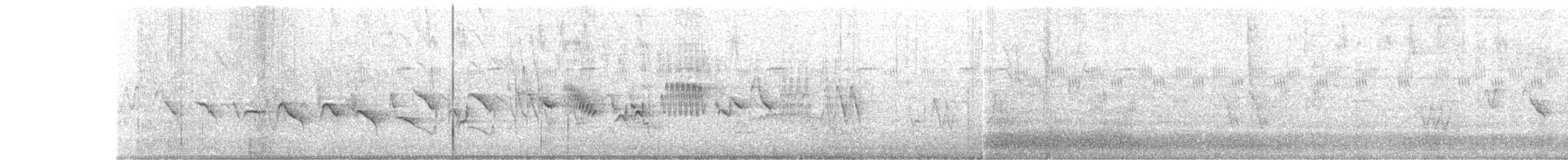 Sporophile curio - ML646658310