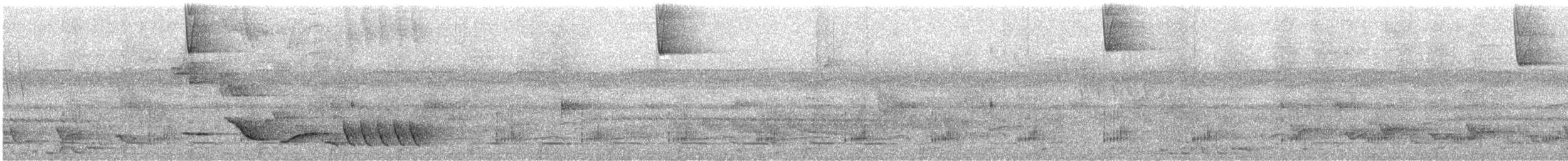 Troglodyte à gorge noire - ML646658543