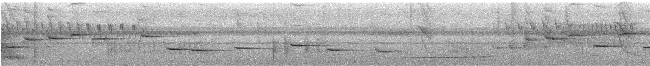 Troglodyte philomèle - ML646658565