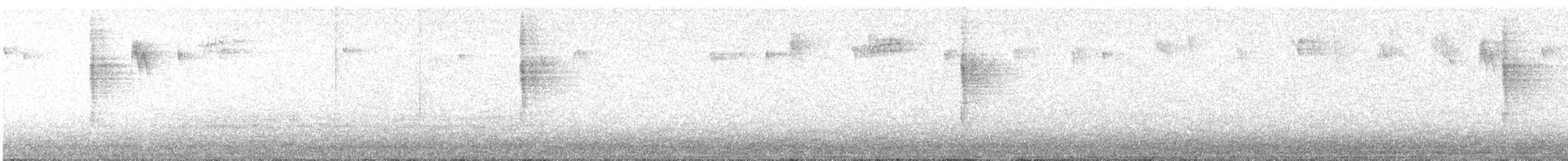 Pacific Wren - ML646658582