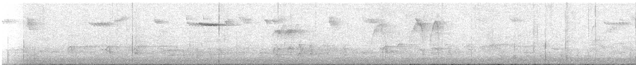 Brown Creeper - ML646658674