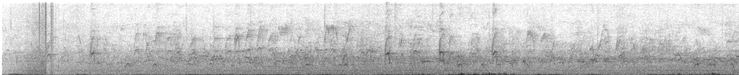 American Robin - ML646658691