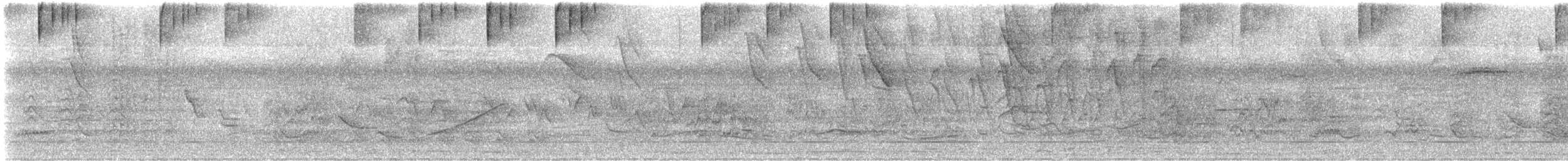 Colibri jacobin - ML646658731