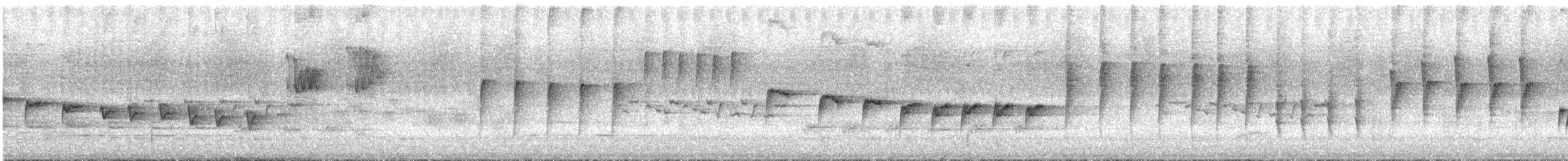 North Island Robin - ML646658868