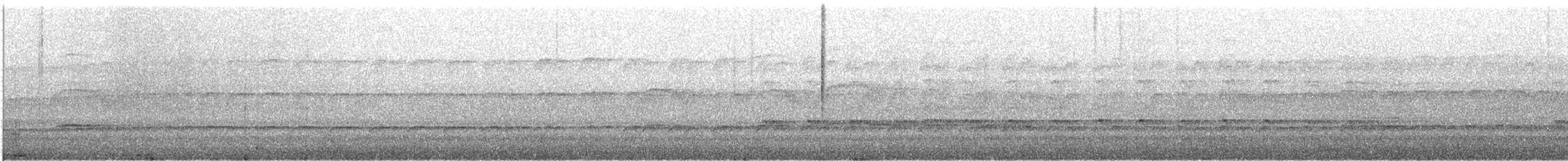 Black Oystercatcher - ML646658927