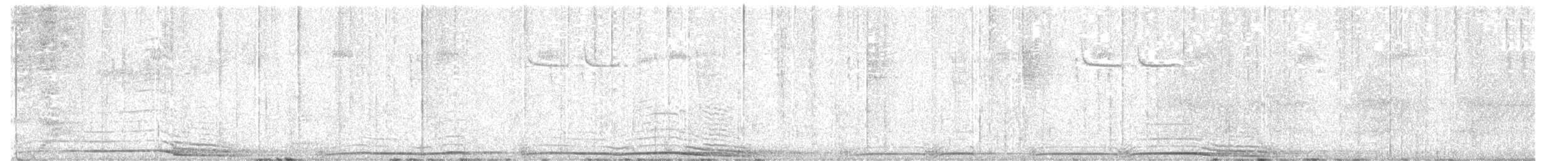 Barred Owl - ML646659807