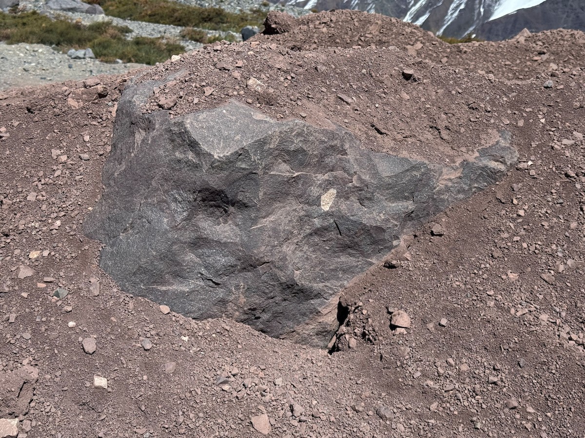 ウロコカマハシカマドドリ - ML646660117