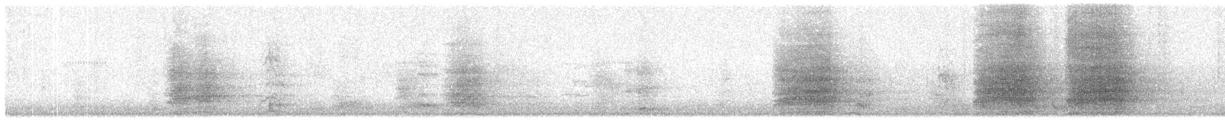 Sulphur-crested Cockatoo - ML646660158