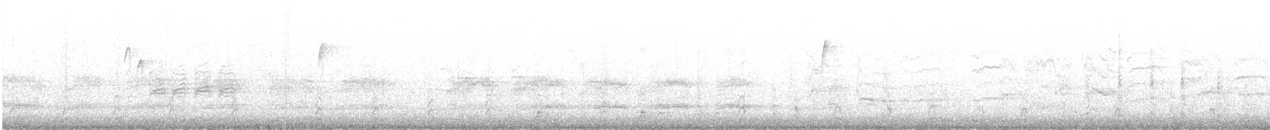 Accipitriformes/Falconiformes sp. - ML646660262