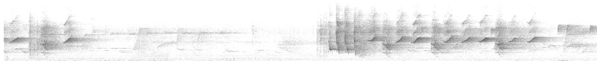 Tooth-billed Bowerbird - ML646660291