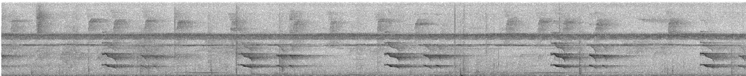 Sarı Gerdanlı Tukan (swainsonii) - ML646660306