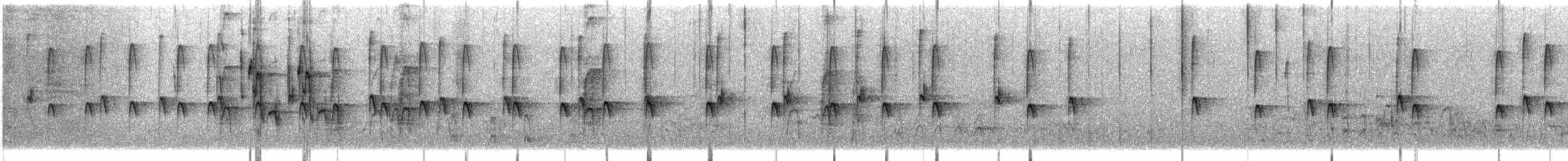 Pygmy Nuthatch - ML646660633